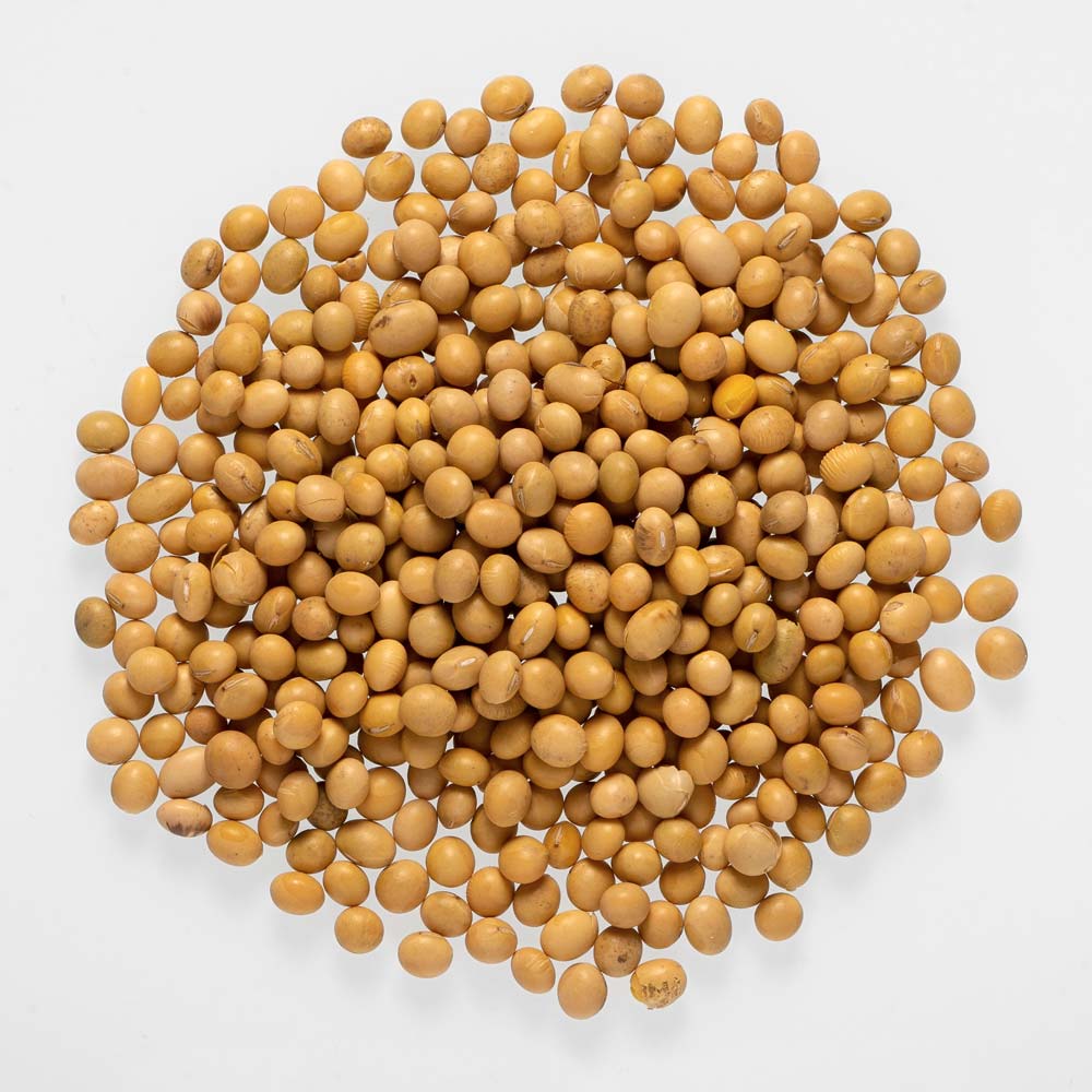 SOYBEANS SOYBEANS